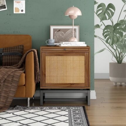 Accent bedside table with solid wood cabinet, cane panel front, and metal base in rustic brown finish - Modera Furnish